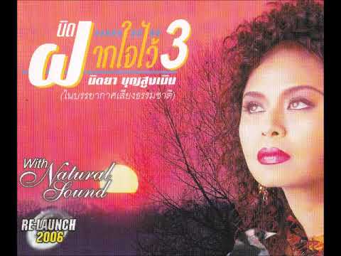 หนี้รัก - นิตยา บุญสูงเนิน [Official Audio]