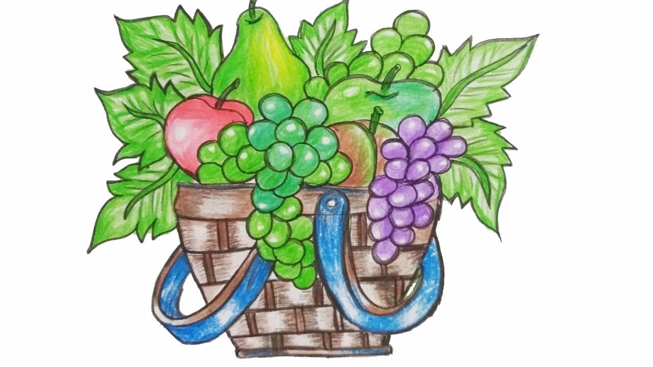 Beautiful Fruit Basket Drawing Vegetable Basket Drawing YouTube