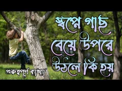 ভিডিও: বাপ্তিস্মের মাধ্যমে আমরা কি হয়ে উঠি?