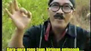 DAYAK COLLECTION - kiriman entok _tarling cirebon_.flv