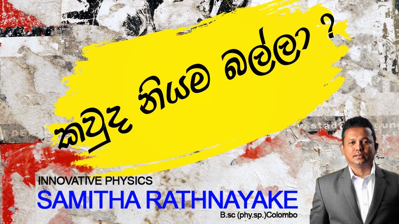 කවූද නියම බල්ලා ?