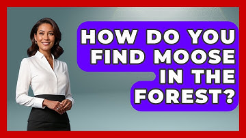 How Do You Find Moose In The Forest? - The Marksman