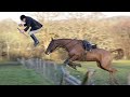 BEST HORSE FAILS OF 2019! *lots of falls