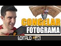 ⏸ 3 Métodos para CONGELAR un FOTOGRAMA (Premiere Pro)