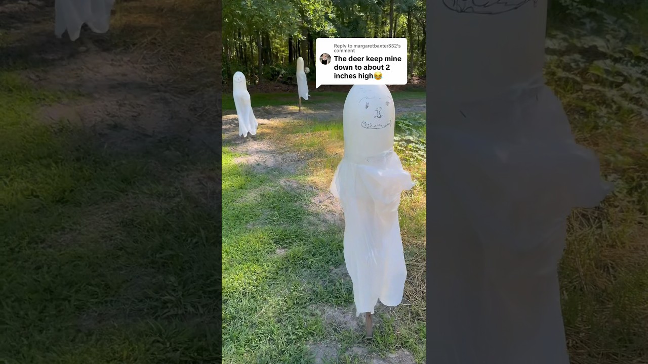 How to keep DEER away from your GARDEN or BERRIES #garden #diy #deer