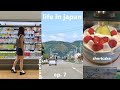 living in japan | grocery shopping, buying plants, productive day!