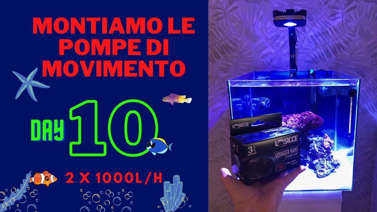 Montiamo le pompe di movimento nel mio acquario marino (Nano Reef da 50 ...
