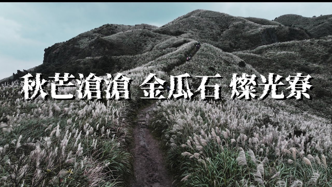 金瓜石 燦光寮 半屏山賞芒的經典稜線 日式古蹟 礦業遺跡 礦鄉的滄桑與新生 The beauty of silvergrass in Ruifang, Taiwan in autumn