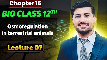 osmoregulation in terrestrial animals class 12 Biology | Osmoregulation in animals