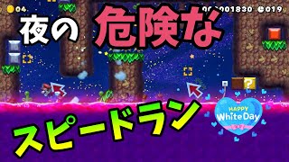夜の危険なスピラン・・0.28％   Super Mario Maker2【SpeedRun】【スピードラン】 【ゆっくり実況】