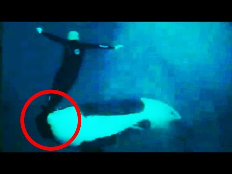 Top 15 Truly Terrifying Things Caught On Camera - YouTube