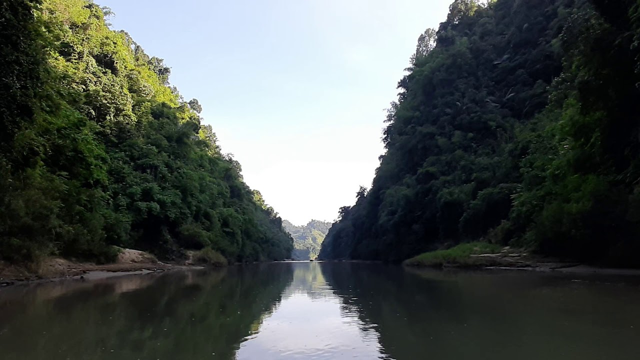 সাঙ্গু ও মাতামুহুরী রিজার্ভ ফরেস্ট, বান্দরবান