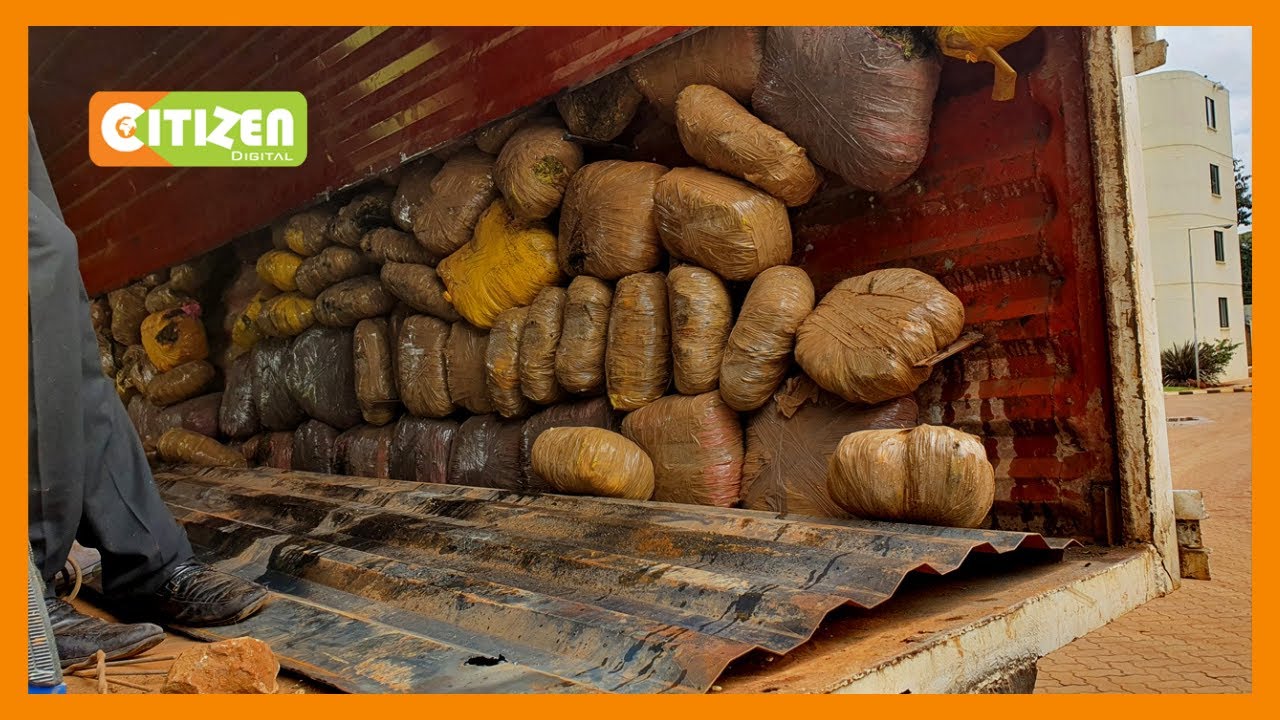 Police smash a transnational drug trafficking racket