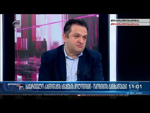 საქართველო კანდიდატის სტატუსის მოლოდინში - ოპოზიციის განცხადებები