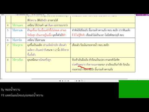 เวชกรรมไทย คัมภีร์ ตักศิลา Live ปี 64 ตอนที่ 1 พท หมอน้ำหวาน by บ้านสุขใจ