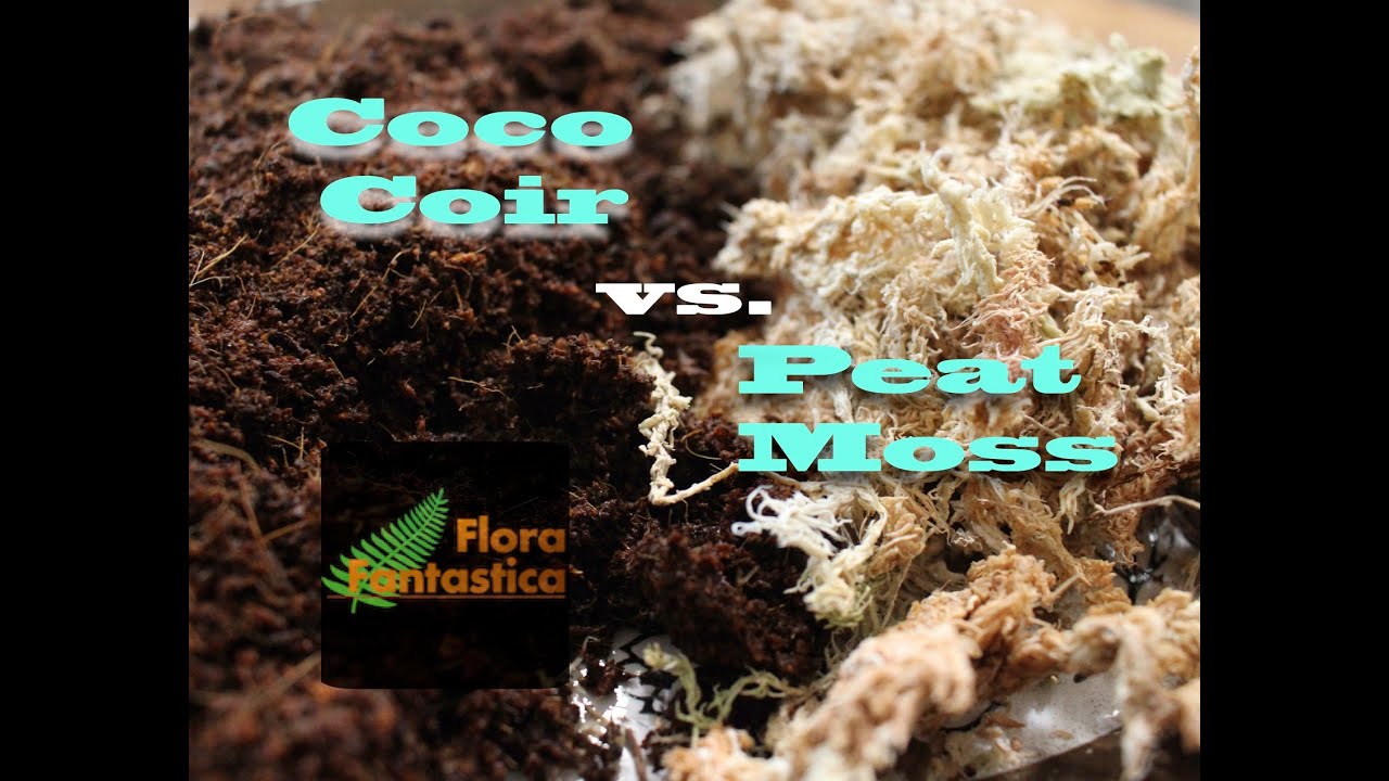 Peat Moss vs. Coco Coir What soil amender reigns supreme? YouTube