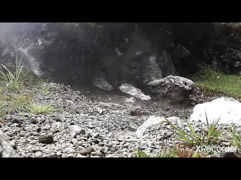 معلومات مدهشة عن ظاهرة النافورات الحارة