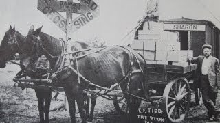 LUMBER CAMP LIFE IN MICHIGAN - JACOB & REX DYE - READ BY DENNIS M. MORRISON Net Worth