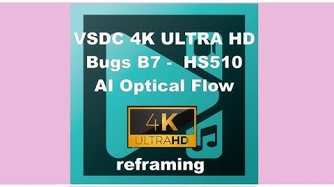 VSDC 4K Ultra HD Bugs B7 -  HS510 AI Optical Flow Reframing