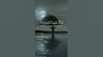 استغفر الله العظيم واتوب اليه. القارئ #محمد_ايوب ،سورة فصلت. #القرآن #quran #القرآن_الكريم