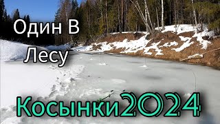 ПОСЛЕДНИЙ ЛЁД. ПЕРЕСТАВИЛ КОСЫНКИ И ДЕЛО ПОШЛО. ОДИН В ЛЕСУ. ВЕСНА 2024