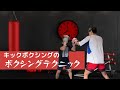 キックボクシングのボクシングテクニック【初心者向け】
