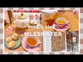 【yuko's vlog】120種類以上の紅茶から2時間飲み放題