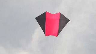 Gomberg Fled Kite