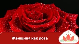 Маргарита Мураховская - Женщина как роза Маргарита Мураховская - Женщина как роза