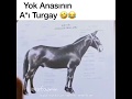 +18 komik video