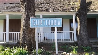 Buscarril en Curtiduría - Ramal Talca a Constitución, Chile (04/Sep/2016) HD