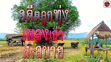 อดีตลูกทุ่งเพลงเก่า ฟังสบาย #Thai Folk Song#thai country music#thai music#lukthung#ລູກທົ່ງ ໂມລຳ