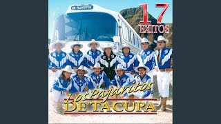 Video thumbnail of "Los Pajaritos de Tacupa - Dimelo de Frente"