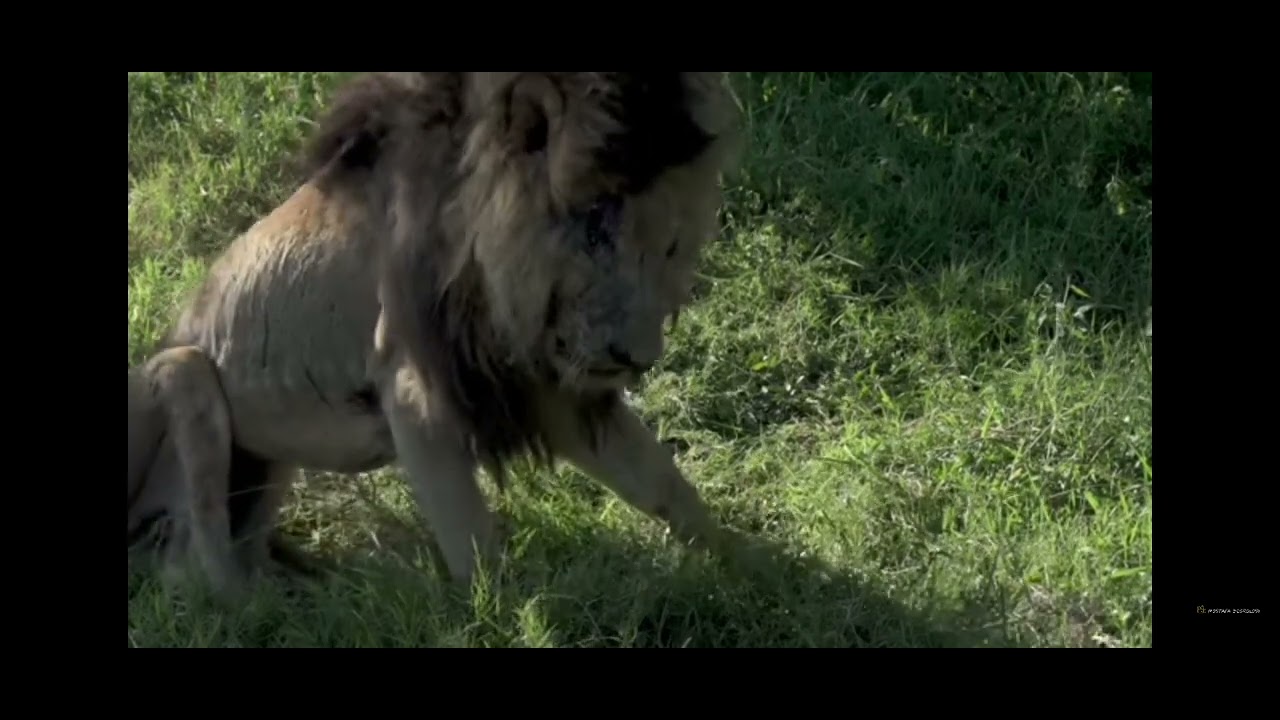 King Scarface👑 RIP before 