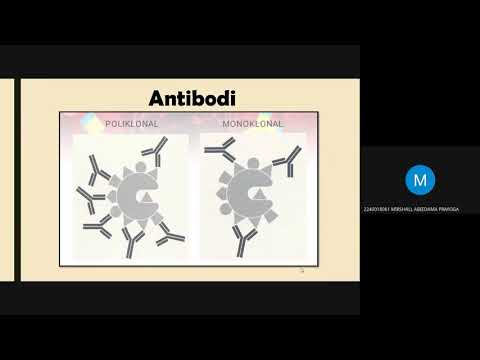 Video: Perbedaan Antara Imunofluoresensi Dan Imunohistokimia