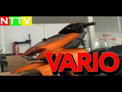 Vario Màu Cam - VARIO 150 - MÀU CAM