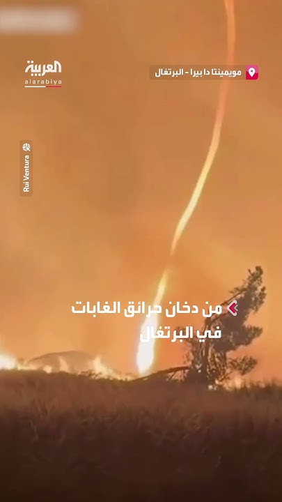                  
 - نشر قبل 2 ساعة