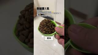 亲子家庭搞笑互动游戏#搞笑#游戏#亲子