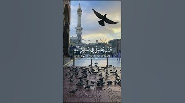 تلاوة رائعة للقران الكريم  #قران_كريم #quran #religion #hadith