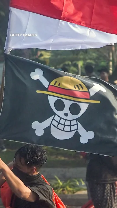 Why the ‘One Piece’ flag is flown at protests