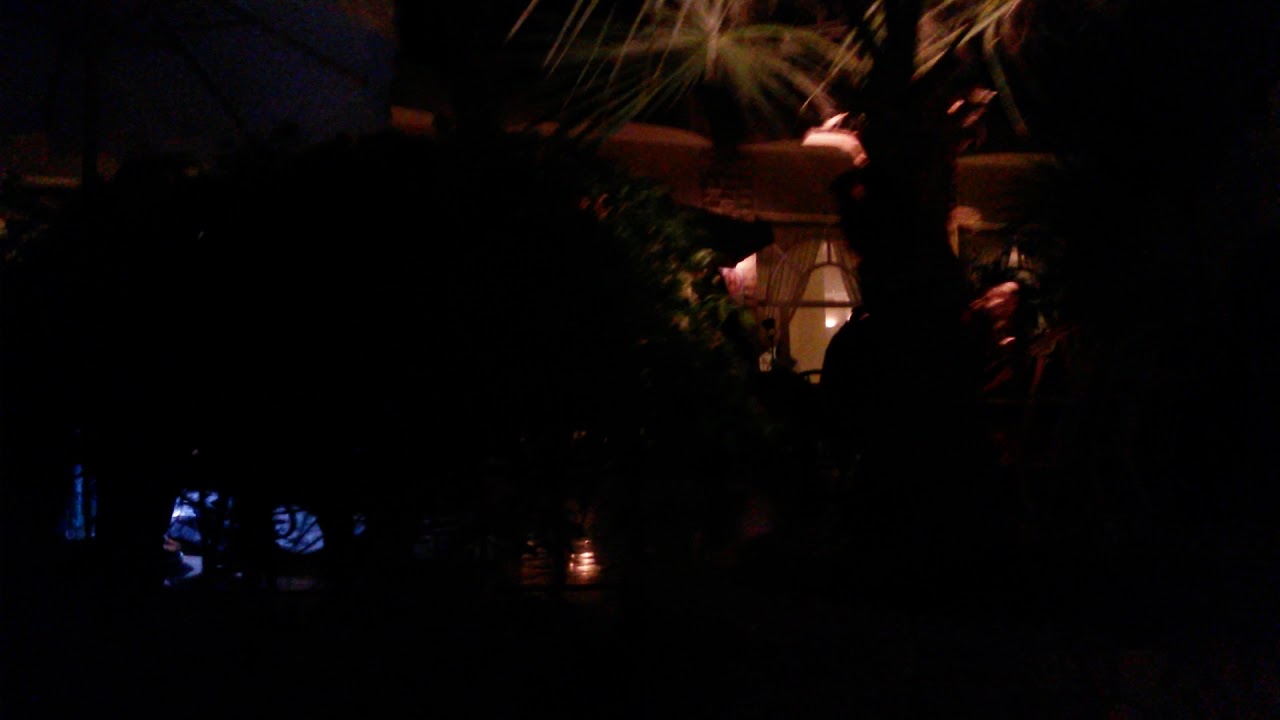 Dawid Ozdoba - NA ŻYWO top 100 movies of all time