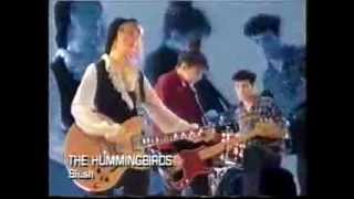 Video thumbnail of "The Hummingbirds - Blush (1988)"