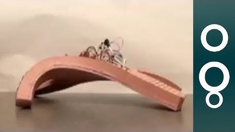 Run Over Me, Burn Me, Freeze Me: Robot That Fears Nothing - Hi-Tech