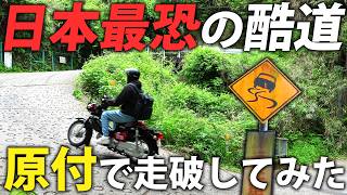 【激坂】日本一急な坂道を原付で走ってみた！国道308号走破の旅