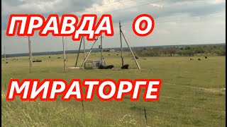 Правда о МИРАТОРГЕ от очевидца