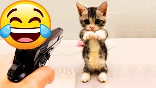 Funny Animal Videos 2023 😂😹 - Funniest Cats And Dogs Video 😂🤣-CatBlatt by CatBlatt 1,983 views 1 year ago 8 minutes, 24 seconds