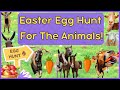 Animals deserve easter egg hunts too