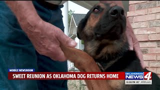 Family dog found 320 miles away in Texas after 18 months lost
