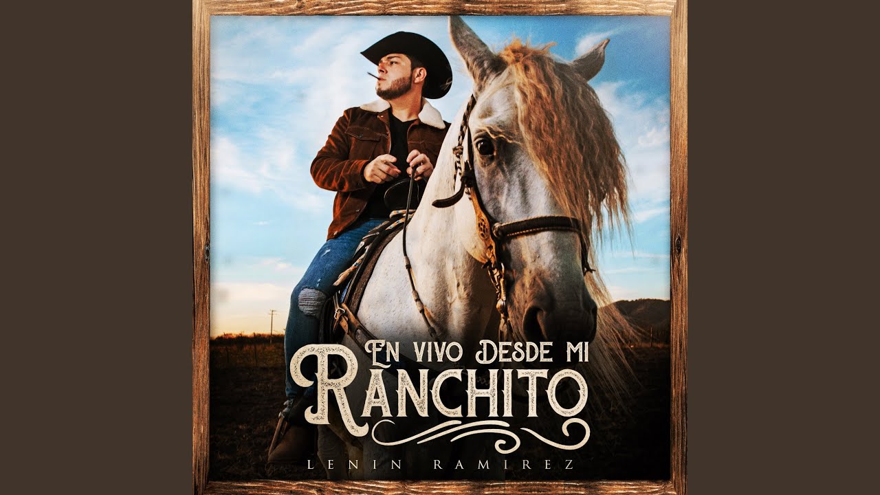 Un Frisian Llamado El Centenario