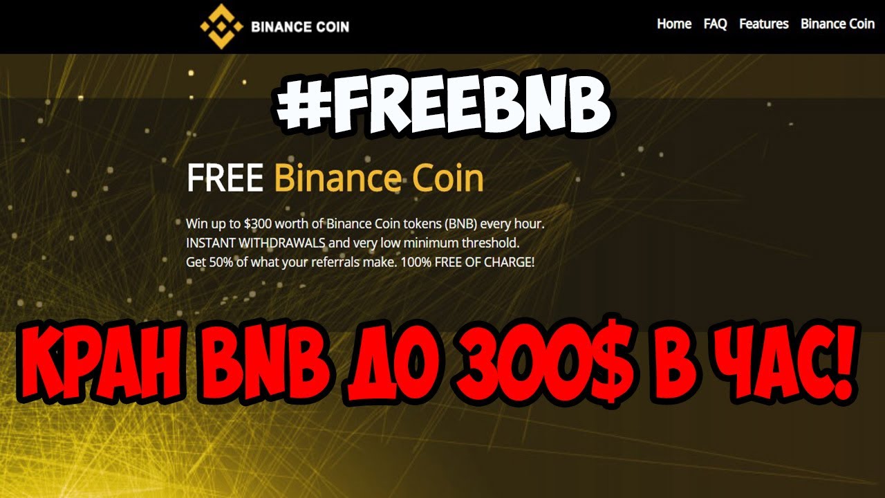 Fnb bic